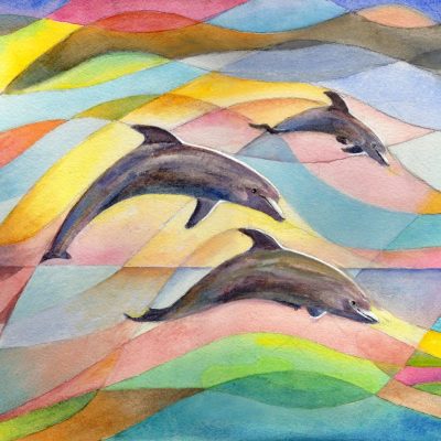 Dolphins