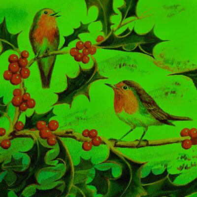 Holly & Robins Cards (10 Pack)