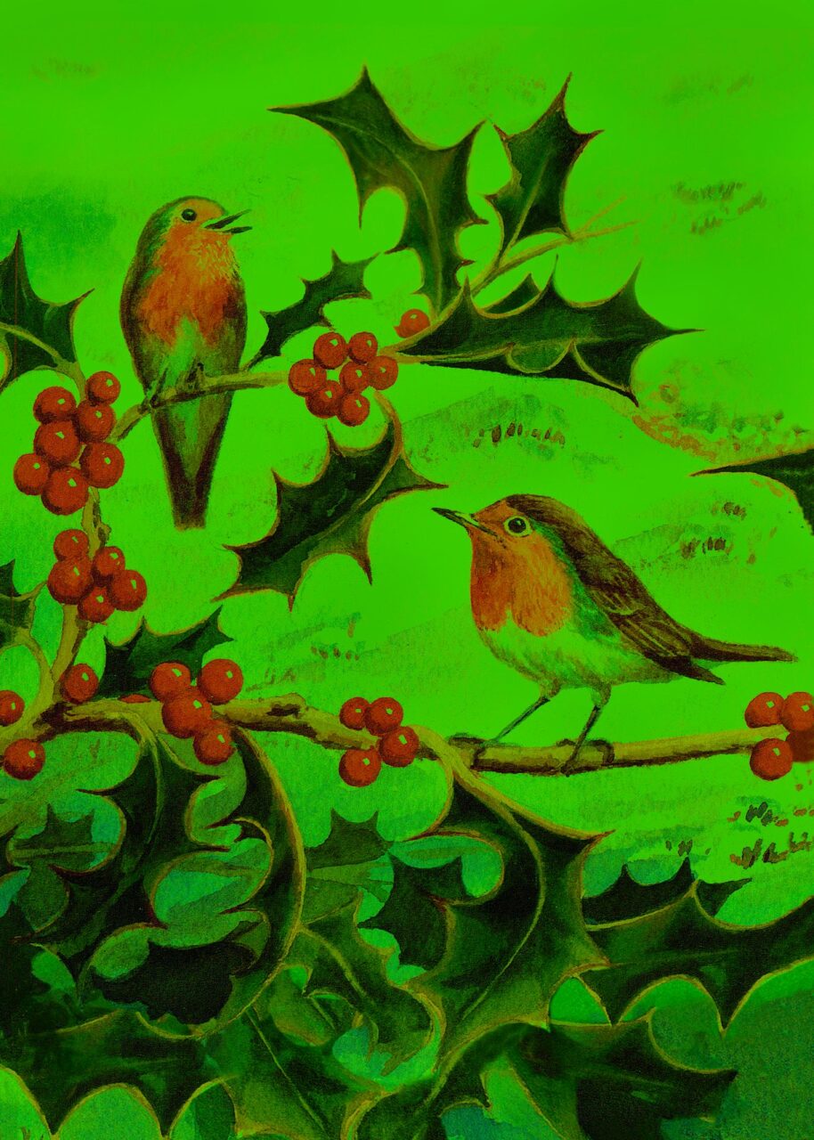 Holly & Robins Cards (10 Pack)