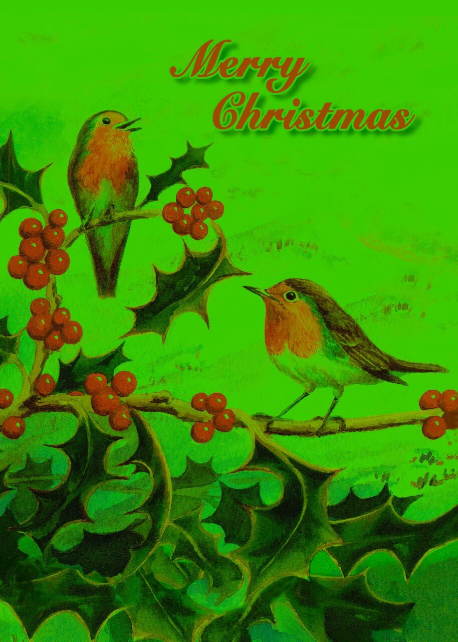 Holly & Robins Cards (10 Pack) - Image 2