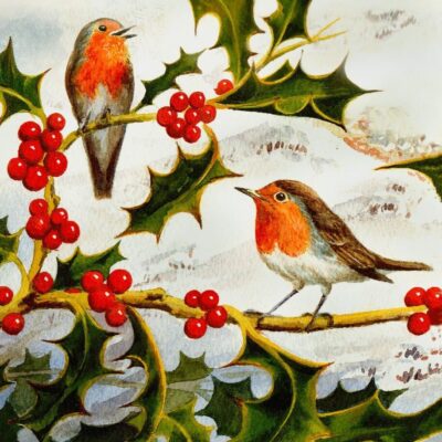 Holly & Robins Cards (10 Pack)